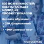 500 возможностей: Камчатка ждет молодых профессионалов!