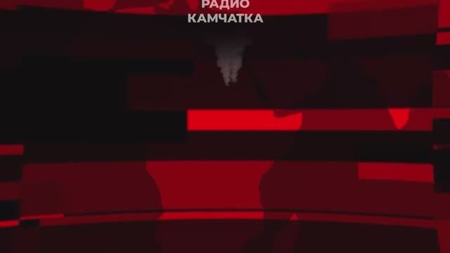 ДРЕВЕСНЫЕ ТЕХНОЛОГИИ. О необычной технологии покрытия детской площадки рассказали жители микрорайона Завойко