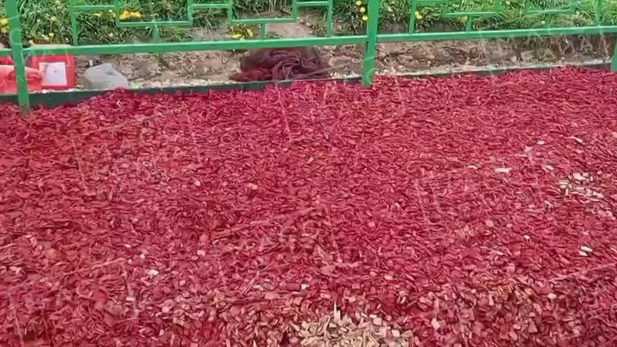 Новые технологии: в микрорайоне Завойко красят щепки на детской площадке