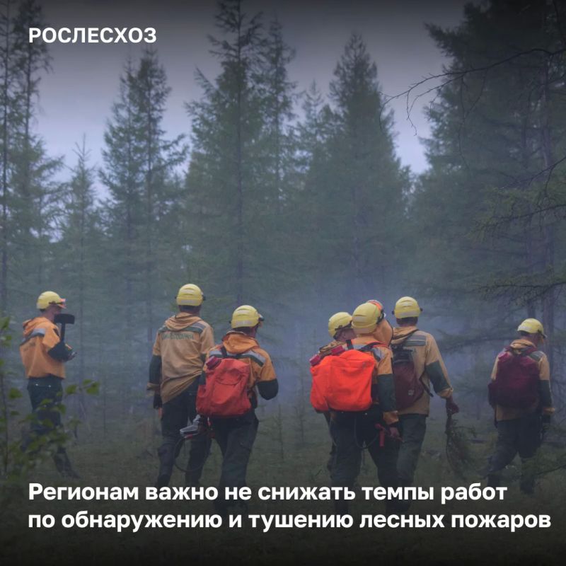 За сутки в России на землях лесного фонда потушили 59 лесных пожаров на площади 18,5 тыс
