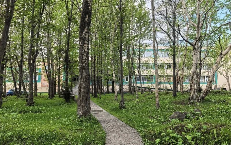 Сквер на Тушканова в следующем году обустроят на федеральные деньги