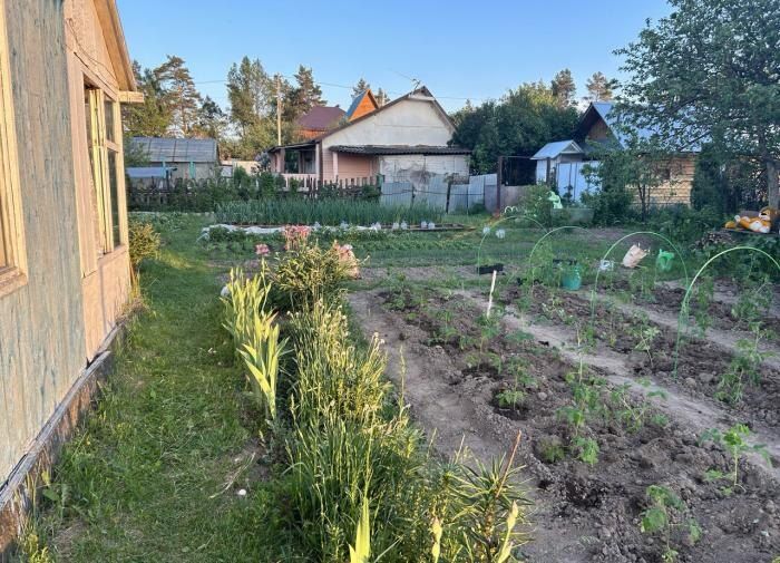 Как избавиться от сорняков: секреты эффективной мульчи