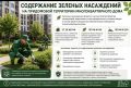 Содержание зеленых насаждений на придомовой территории