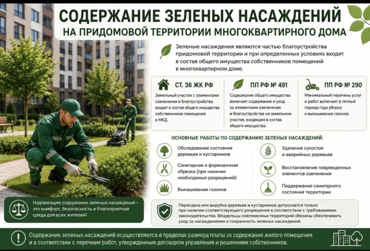 Содержание зеленых насаждений на придомовой территории