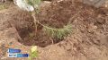 � ����-���������� ������������� ������ ������ ������������� ����� ���� ������, ������������ � ��������� ������ � ������� ������������� �����