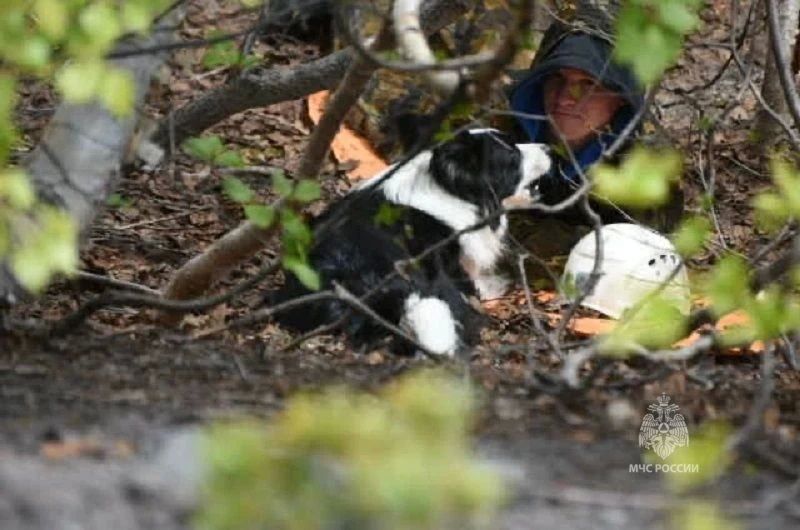 21 год на страже безопасности: очередную годовщину отмечает поисково-спасательный отряд ГУ МЧС России по Камчатскому краю 21 год на страже безопасности: очередную годовщину отмечает поисково-спасательный отряд ГУ МЧС России по Камчатскому краю