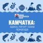 � ���� �������� ����������� ���� ������� �������, ��� �� ���� �� ������ � ���������� �����