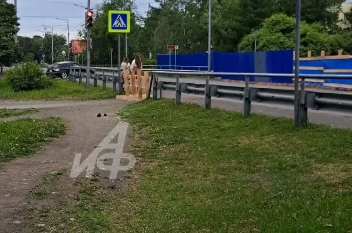 Перекрыли «зебру»: елизовчанам приходится перелезать через ограждение