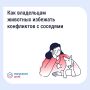Проживание животных в многоквартирном доме связано с определёнными обязанностями