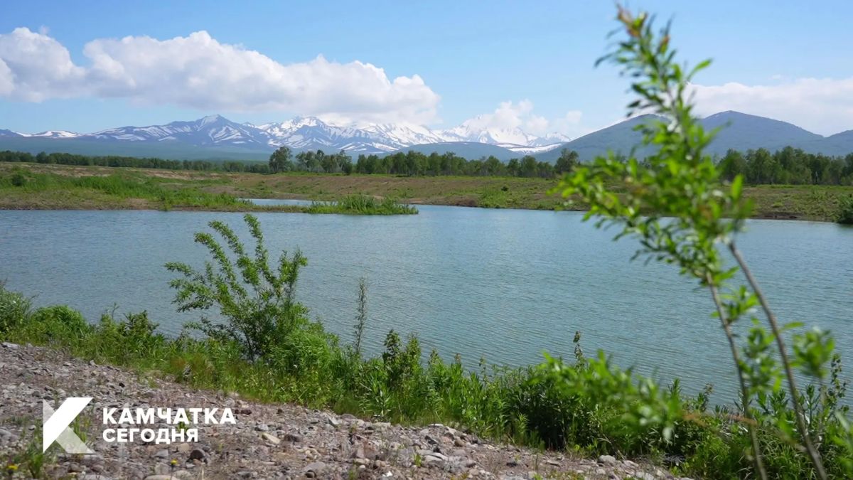 На Камчатке создают центр для спасения диких животных На Камчатке создают центр для спасения диких животных