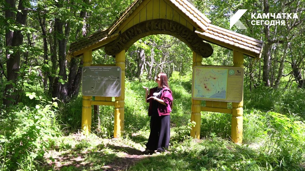 На Камчатке создают центр для спасения диких животных