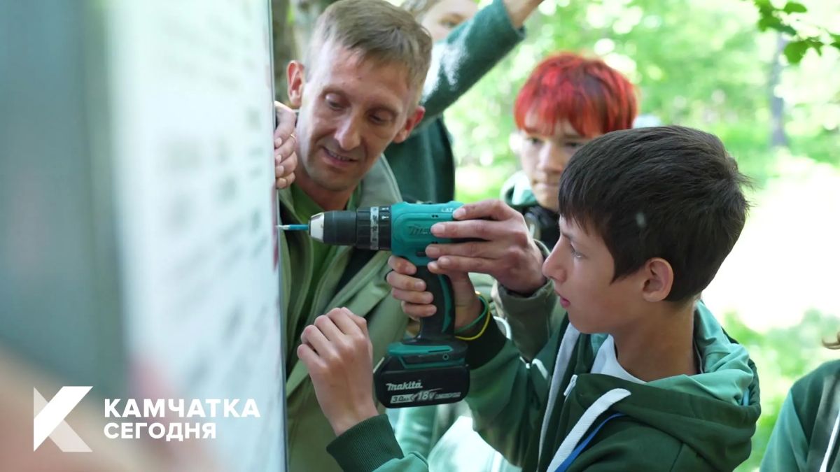 На Камчатке создают центр для спасения диких животных На Камчатке создают центр для спасения диких животных