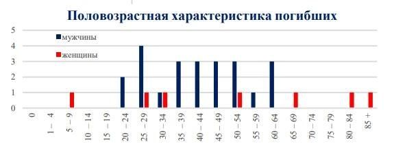 Чаще всего в ДТП погибают мужчины, а виной всему превышение скорости Чаще всего в ДТП погибают мужчины, а виной всему превышение скорости