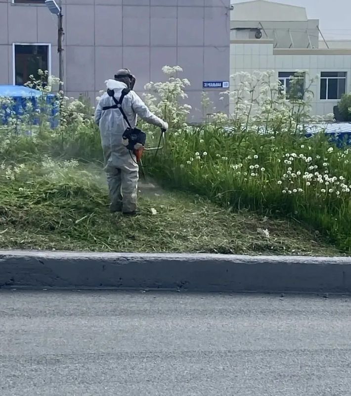 Город день за днем. 6 июля 2026 года В Петропавловске-Камчатском продолжается комплекс мероприятий по содержанию городских территорий