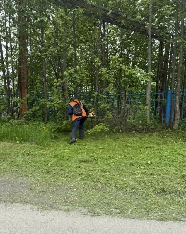 Город день за днем. 6 июля 2026 года В Петропавловске-Камчатском продолжается комплекс мероприятий по содержанию городских территорий Город день за днем. 6 июля 2026 года В Петропавловске-Камчатском продолжается комплекс мероприятий по содержанию городских территорий
