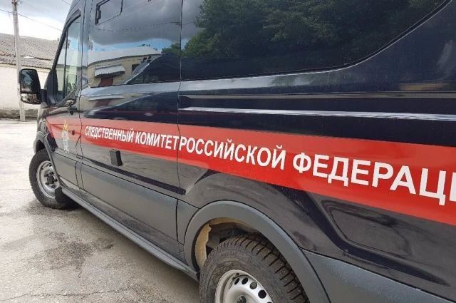Уголовное дело о покалечившемся на вулкане Горелый сапсёрфингисте возбудили на Камчатке