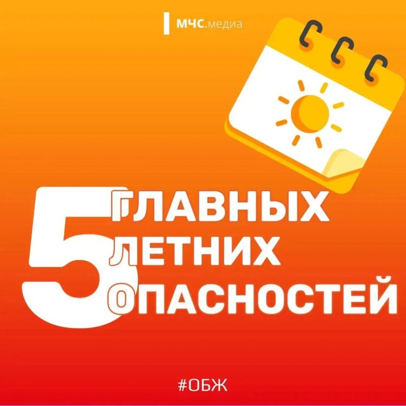 Лето — это долгожданный отдых, поездки на природу, купание и долгие прогулки Лето — это долгожданный отдых, поездки на природу, купание и долгие прогулки