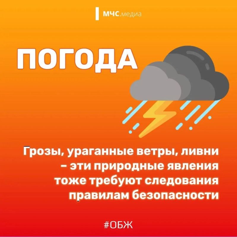 Лето — это долгожданный отдых, поездки на природу, купание и долгие прогулки Лето — это долгожданный отдых, поездки на природу, купание и долгие прогулки