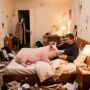 «Или я, или свинья». Москвич выбрал свинью
