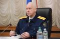 Нападение бездомных собак на ребенка: Бастрыкин взял на контроль