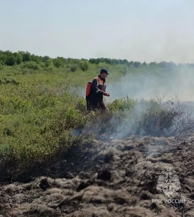 Камчатские спасатели МЧС России и добровольцы оказали помощь сотрудникам лесоохраны в тушении крупного природного пожара в Тигильском районе