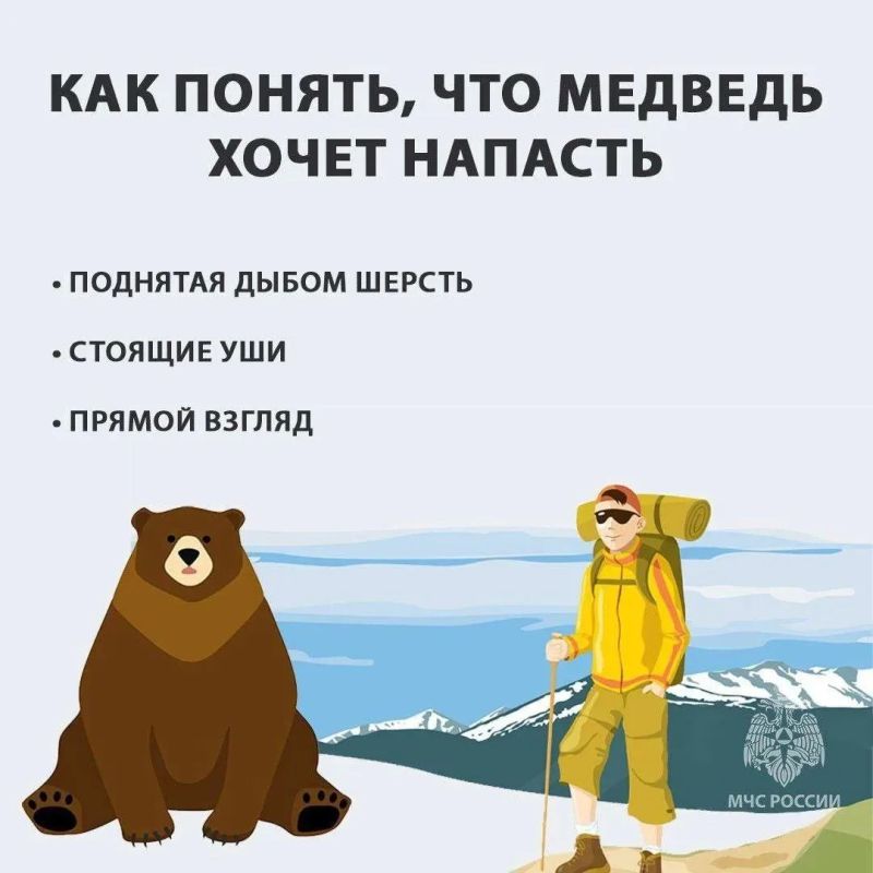#СоветМЧС. Чтобы избежать встречи с медведем в лесу, рекомендуем шумно передвигаться по маршруту, путешествовать в компании, не сходить с популярных туристических троп и не ходить по звериным тропам #СоветМЧС. Чтобы избежать встречи с медведем в лесу, рекомендуем шумно передвигаться по маршруту, путешествовать в компании, не сходить с популярных туристических троп и не ходить по звериным тропам
