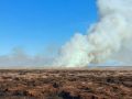 На Камчатке ликвидировали крупнейший за пять лет лесной пожар
