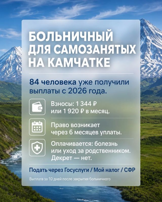 84 самозанятых на Камчатке уже получили больничные в 2026 году