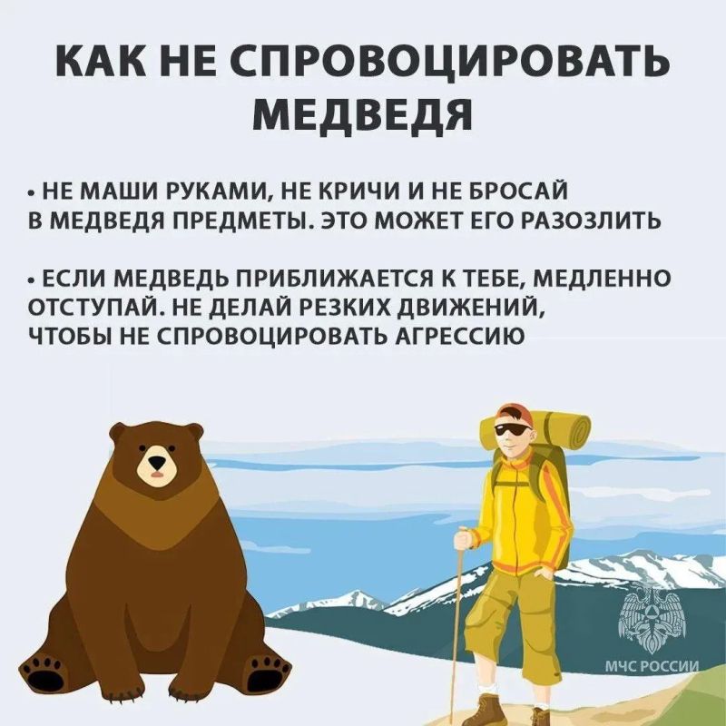 #СоветМЧС. Чтобы избежать встречи с медведем в лесу, рекомендуем шумно передвигаться по маршруту, путешествовать в компании, не сходить с популярных туристических троп и не ходить по звериным тропам #СоветМЧС. Чтобы избежать встречи с медведем в лесу, рекомендуем шумно передвигаться по маршруту, путешествовать в компании, не сходить с популярных туристических троп и не ходить по звериным тропам