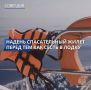 Спасательный жилет необходим на маломерном судне всем: и водителю, и пассажирам