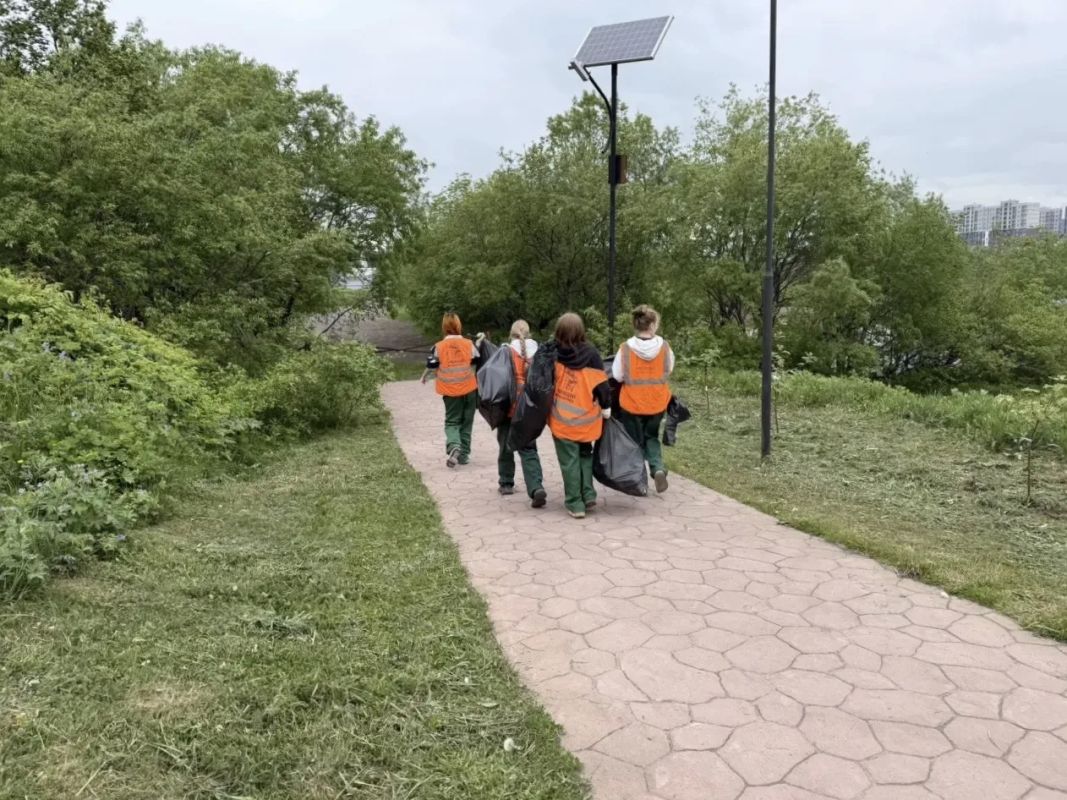 В нашем городе активно проходят молодежные экологические акции В нашем городе активно проходят молодежные экологические акции