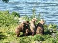 За спиной мамы: инспектору удалось сделать редкие кадры