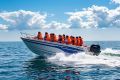 Предприниматель на Камчатке возил туристов без страховки — оштрафован на 40 тысяч