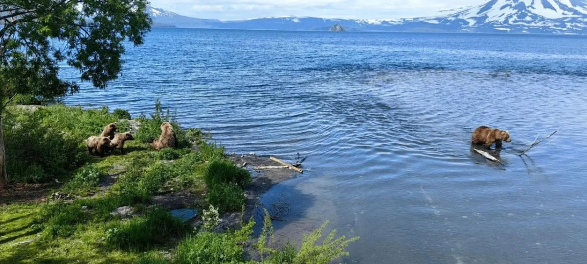 За маминой спиной спокойнее За маминой спиной спокойнее