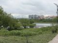 В нашем городе активно проходят молодежные экологические акции