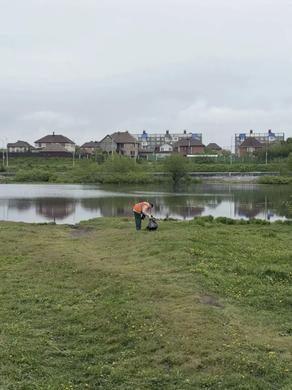 В нашем городе активно проходят молодежные экологические акции В нашем городе активно проходят молодежные экологические акции