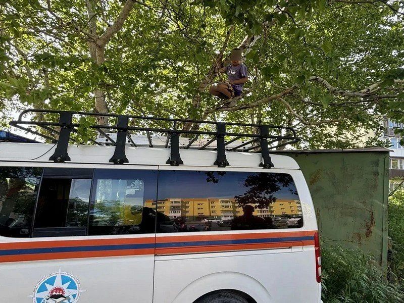 Камчатские спасатели сняли с дерева застрявшего на нем ребенка
