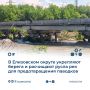В Елизовском округе расчищают русла рек и укрепляют дороги