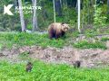 ������ ����, ��������!. ������ ��������, ������ ���� ��������� ������ ��� � �� ��� ������ �������� ����