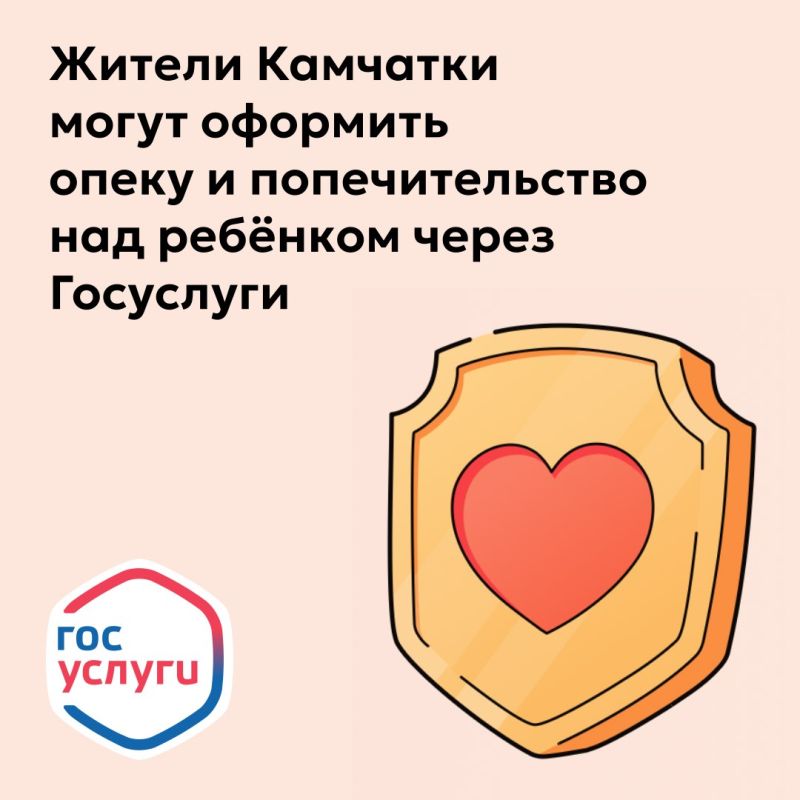 Органы опеки и попечительства Камчатского края переходят на электронный формат