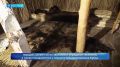 Интерактивная культурно-просветительская программа «Бубен зовёт! Праздник для всех» пройдёт 17 июля в Краевой научной библиотеке им. С.П. Крашенинникова