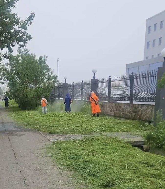 Город день за днем. 16 июля 2026 года В ПетропавловскеКамчатском в ежедневном режиме проходят работы по содержанию городских территорий Город день за днем. 16 июля 2026 года В ПетропавловскеКамчатском в ежедневном режиме проходят работы по содержанию городских территорий