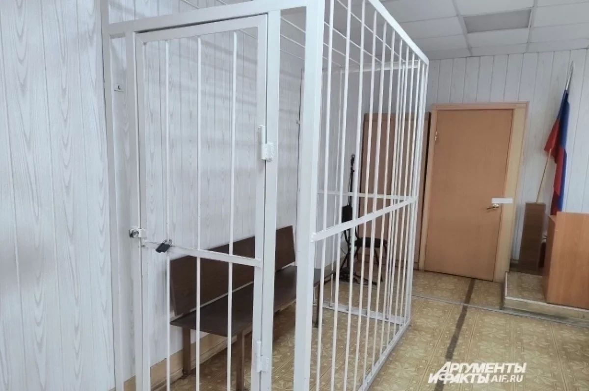 Многодетный отец получил три года колонии за драку у бара на Камчатке