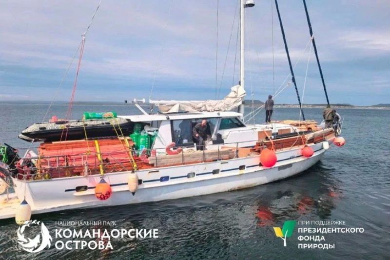 На Командорах построят научный стационар у бухты Гладковская