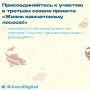 На Камчатке стартовал третий сезон экологического проекта «Жизнь камчатскому лососю!»