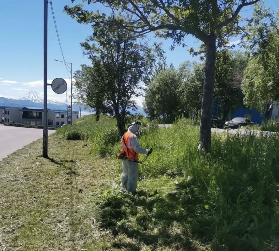 Город день за днем. 18 июля 2026 года В ПетропавловскеКамчатском в круглосуточном режиме проходят работы по содержанию городских территорий Город день за днем. 18 июля 2026 года В ПетропавловскеКамчатском в круглосуточном режиме проходят работы по содержанию городских территорий