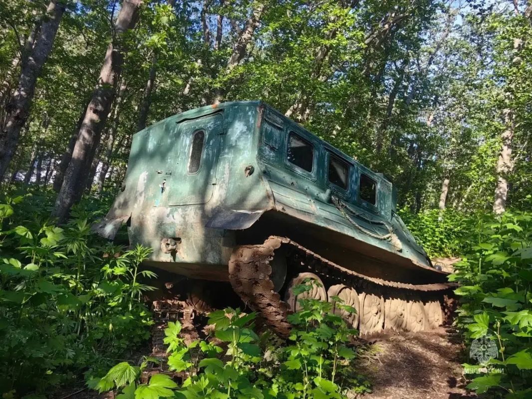 На Камчатке спасатели эвакуировали мужчину, застрявшего в лесу На Камчатке спасатели эвакуировали мужчину, застрявшего в лесу
