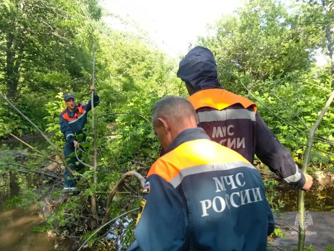 На Камчатке спасатели эвакуировали мужчину, застрявшего в лесу На Камчатке спасатели эвакуировали мужчину, застрявшего в лесу