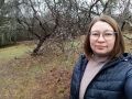 Пока деревья спят: как осенью избавиться от мха и лишайников на фруктовых деревьях