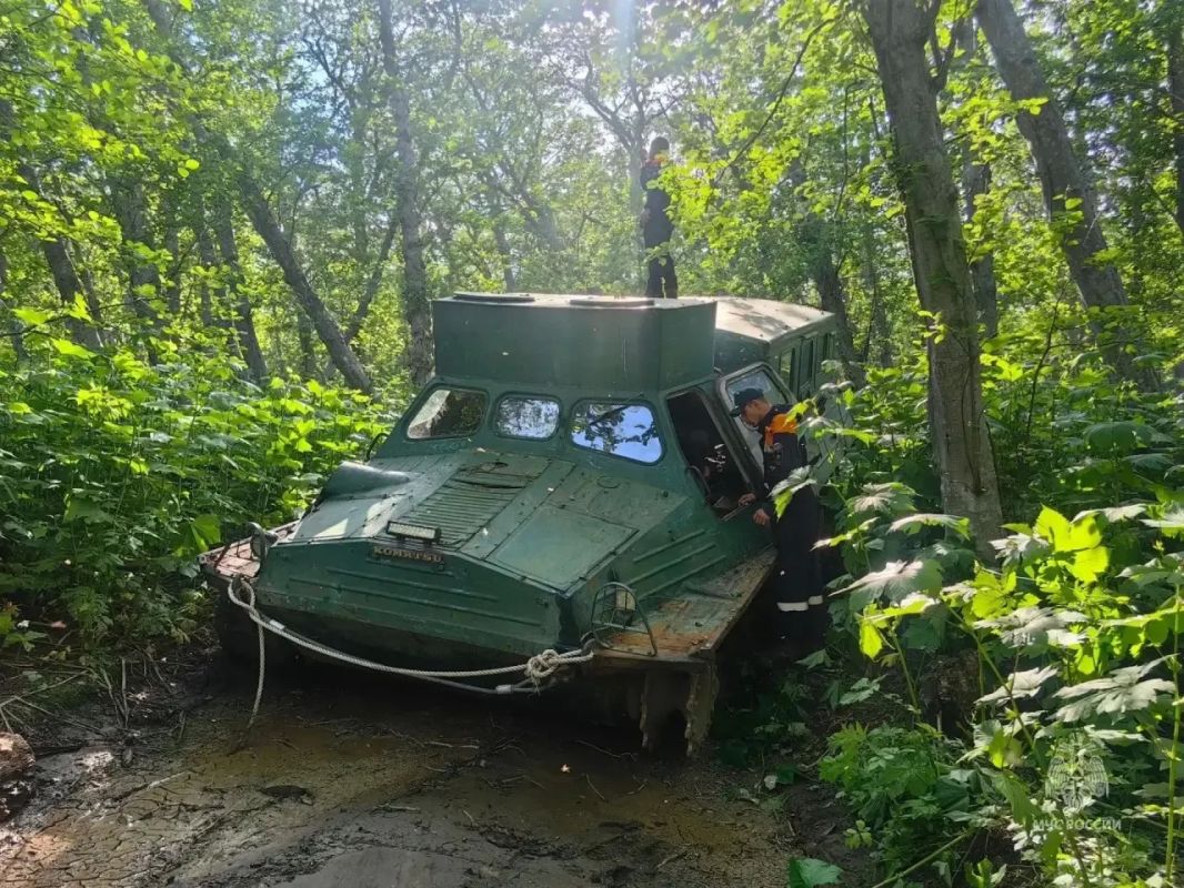 На Камчатке спасатели эвакуировали мужчину, застрявшего в лесу На Камчатке спасатели эвакуировали мужчину, застрявшего в лесу